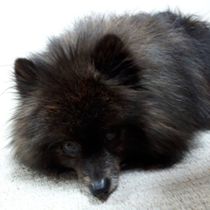 0d9392a5 e7cb 472b 8a7f ca8c5feea877 1516918845642