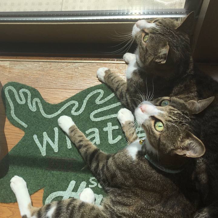 0d93b4f2 9308 493a 91d2 c7b7fc04e337 1696982069451