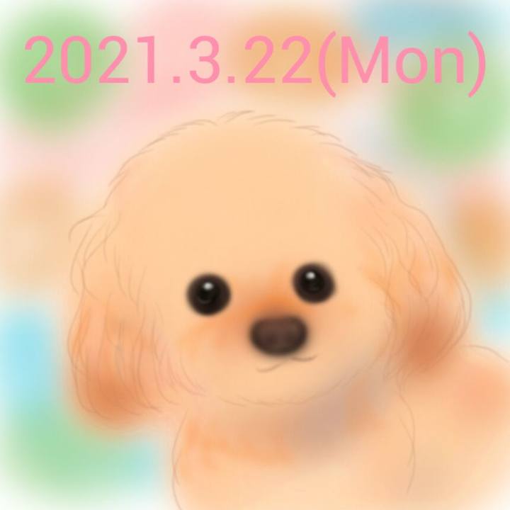 0d93cd10 088d 400a 8d38 a3ee3070ed7e 1616416212474
