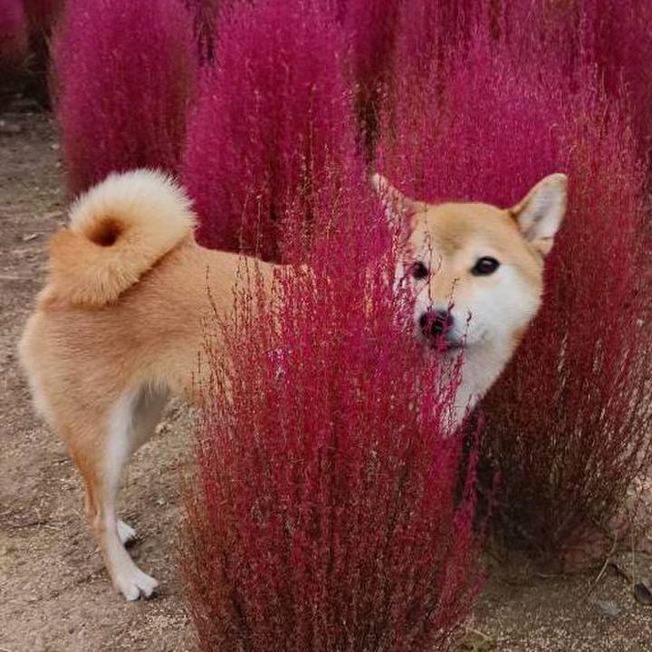 0d93dfa8 68ab 4135 9643 2c8ce29e9448 1763875347212