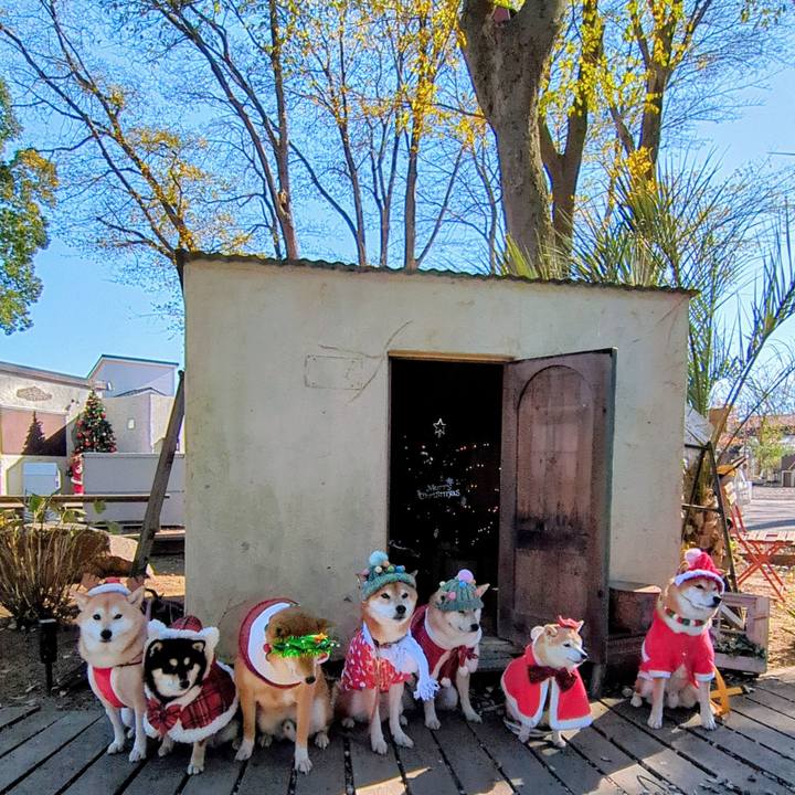 0d93e05e 992c 460a b1f3 df1bf39ce0ca 1764994085255