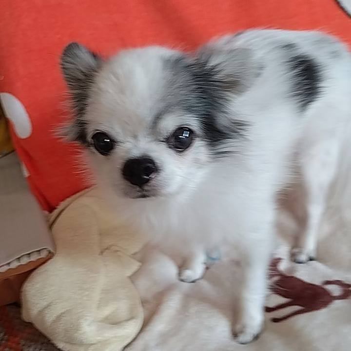 0d94097f e472 4a7a 8431 7f33f8f428aa 1763172026266