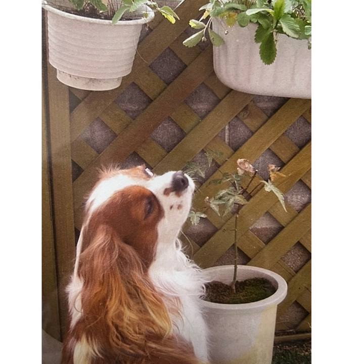 0d9458a9 dec0 4893 abb4 368160e5fbe5 1772588351219