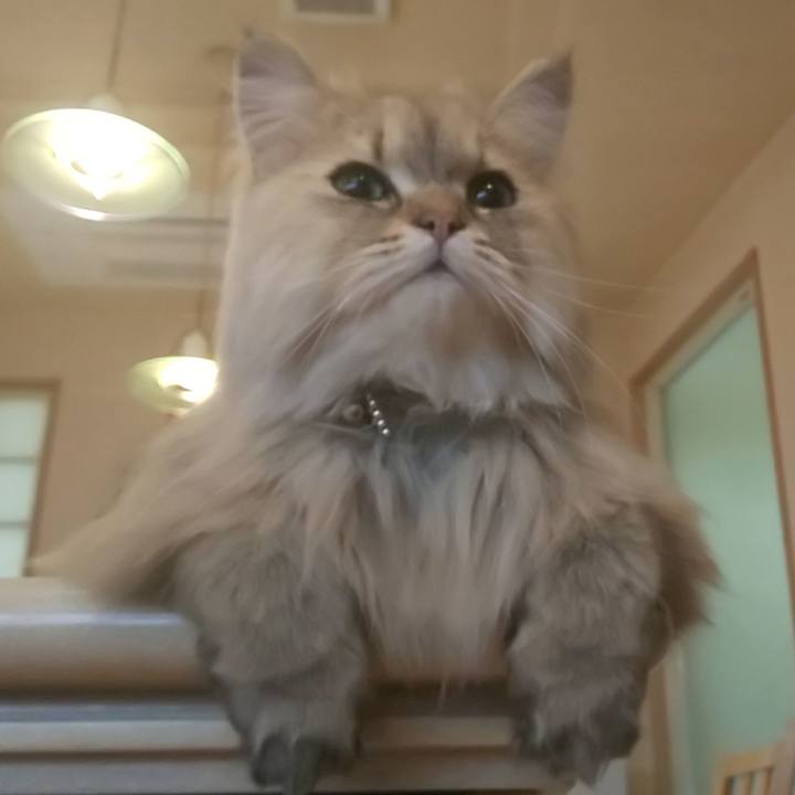 0d94ab25 23d6 41db ac14 10164e8c5884 1590386805821