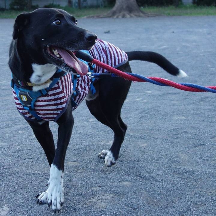 0d94b0c6 331c 4d99 9b6e d43663c939eb 1626696789085