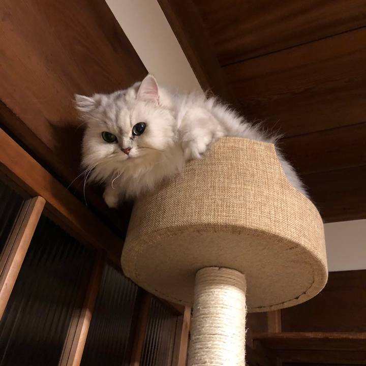 0d94f14b 0f78 4aa1 90cd 8cee8927e4cd 1620612632612