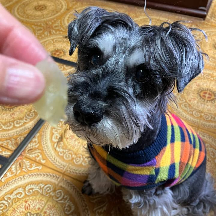 0d952ae6 fe1f 4205 9307 9b2fa33adcbe 1745899645208