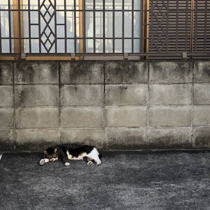 0d952b9c 96b1 4367 b0dc 723a08b160ca 1568318639708