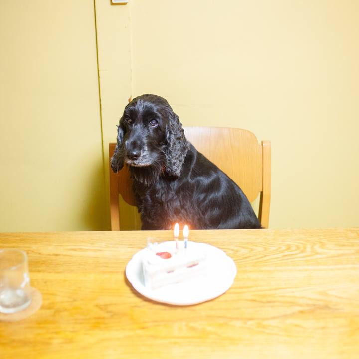 0d95676a dc69 4416 a499 de02589b52aa 1576508090096