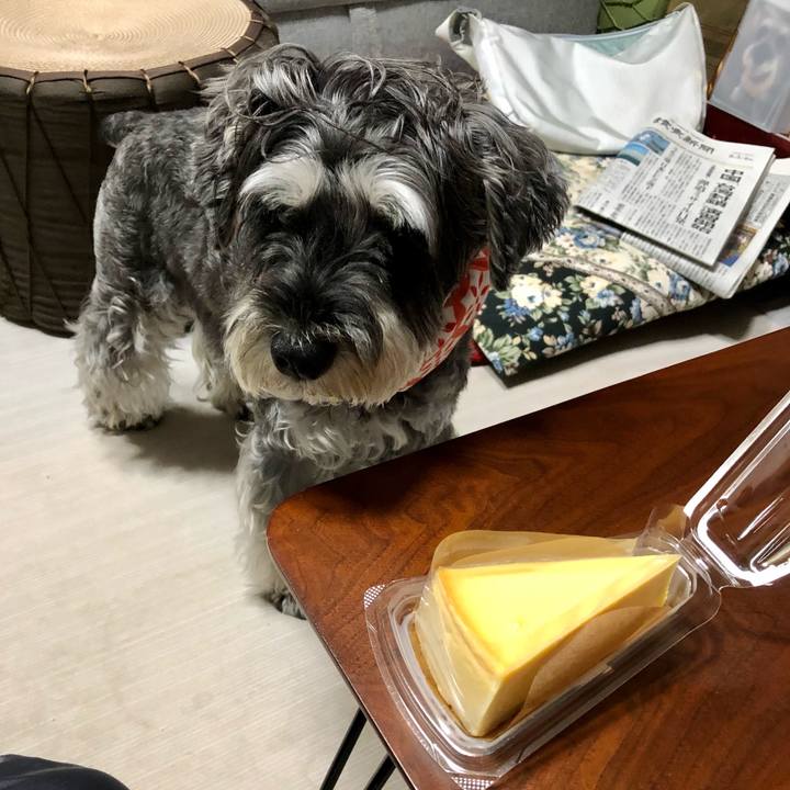 0d959fd3 024e 4079 b1ae 6f2955e4f9a3 1659749336207