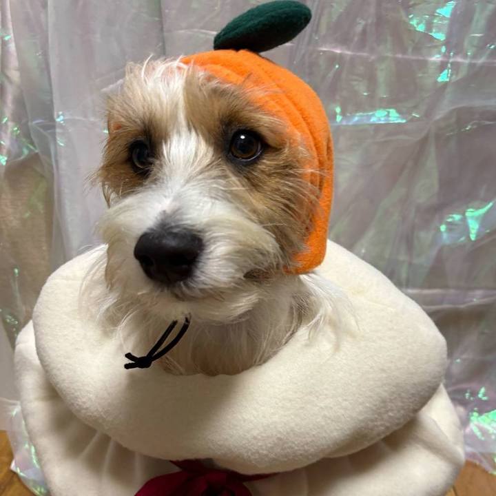 0d95c2c4 9bf2 4b82 ac10 54fe8c1e3e74 1767310893325