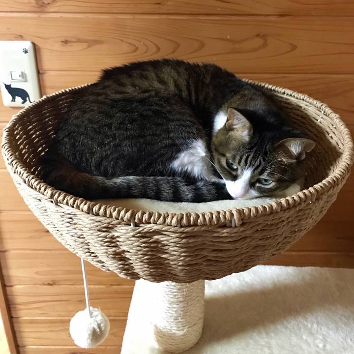 0d95cc78 8acb 40b4 a56b aba962bfb8a0 1555573977652