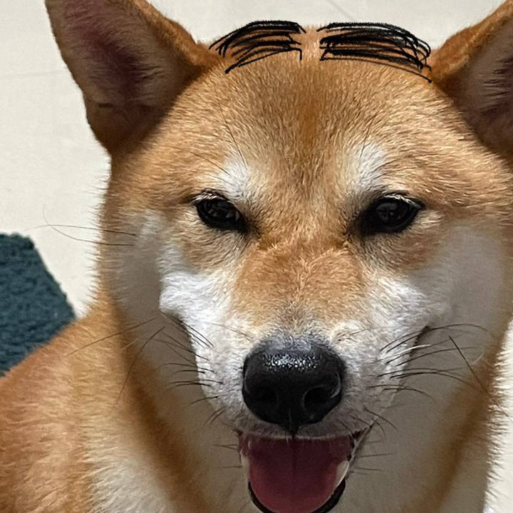 0d95f806 232a 4f3d b6ed 73b42ac66ec3 1629299981731