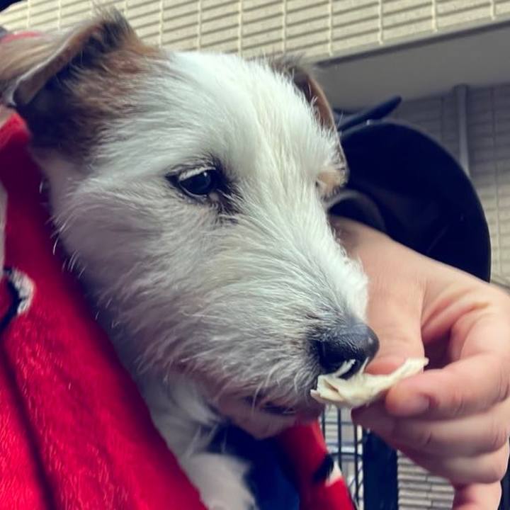 0d95fbe0 8691 40ba 9a9f 7096b65b112e 1675620156374