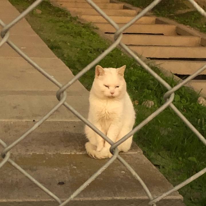 0d961461 3a8f 4bb5 ad7d 1aac7910c92f 1573039363894