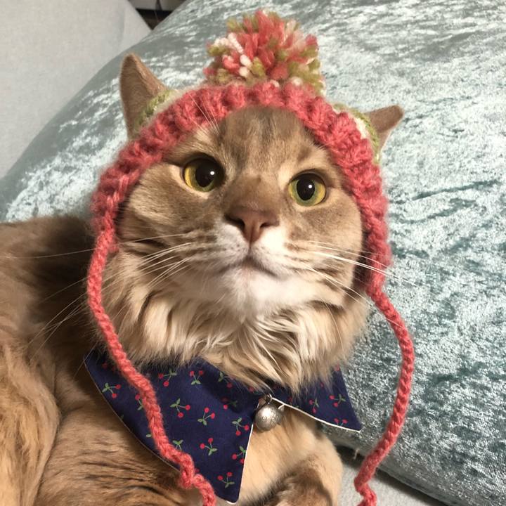 0d961a02 9152 482a b9a8 1754fae5186b 1644249479849