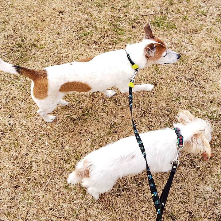 0d962a12 da2f 4bc4 8f5f 451a50775b06 1545542029809