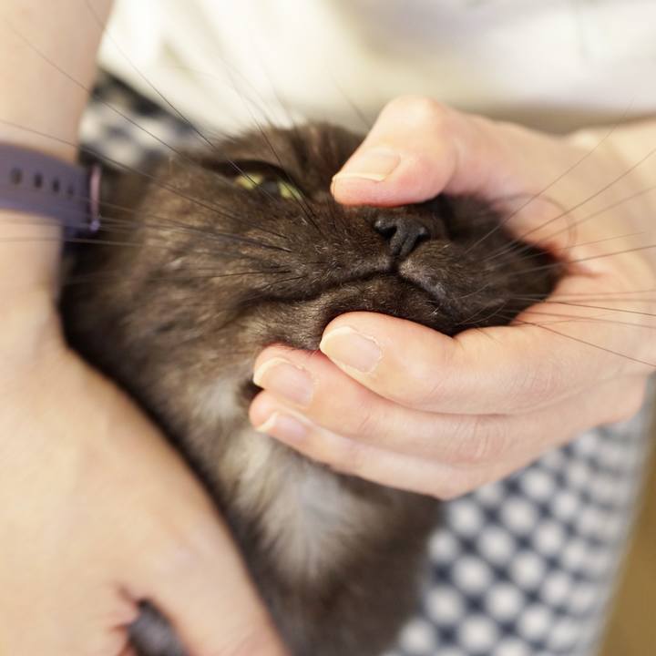 0d969f3d 9f09 4033 9533 887fbda1ceab 1632401352922