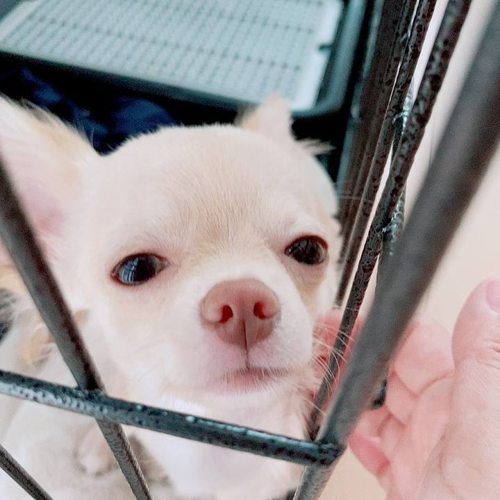 0d96b1eb c4b9 498e b768 053bfc725cfa 1594882811719