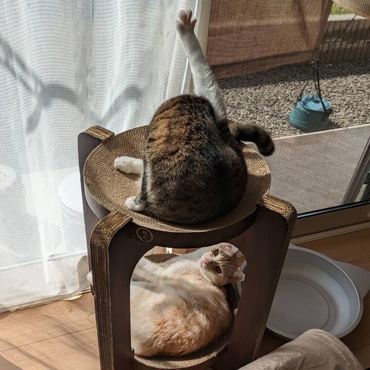 0d96d3bf 3594 4473 9757 949b7dfc538d 1694046757841