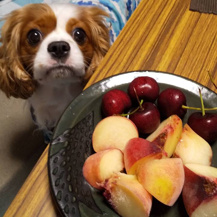 0d976f67 eb2e 43c7 b2c4 3e5e19403f9e 1597844889618