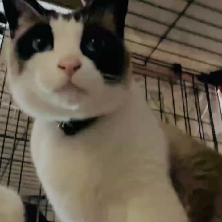 0d979b8a 164e 4747 9e32 4b60b21f849a 1746264815058