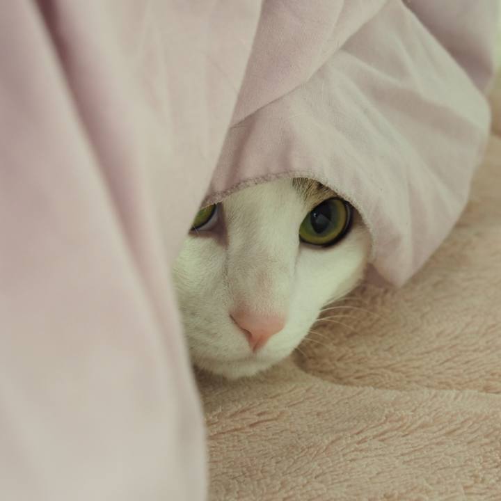 0d979fea ff85 4b40 901c 27bb0feaf75b 1520662650079