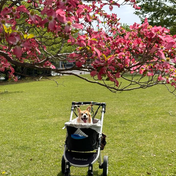 0d97bb74 493a 4cbd 82de 7a46ded63e08 1776390263781