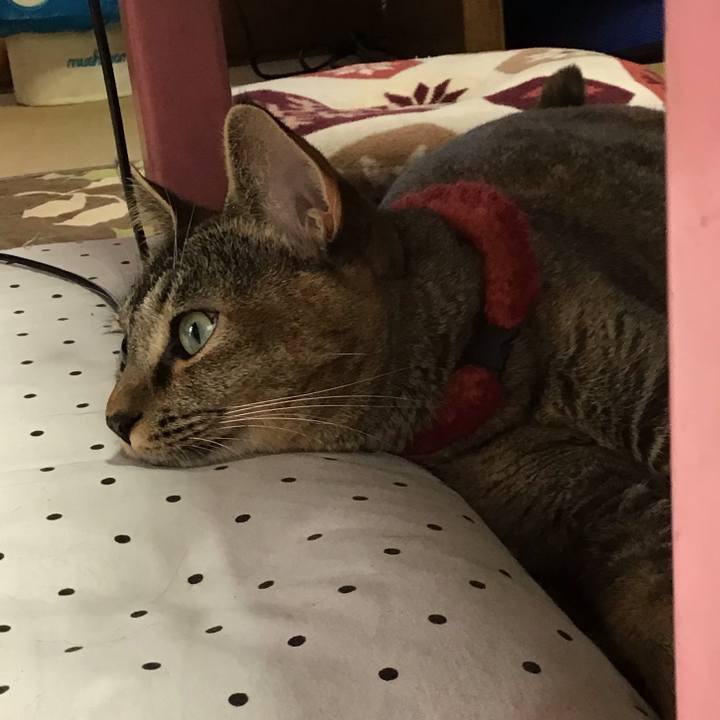 0d97d151 fb97 40a7 b348 4d6f16adc782 1601168149213