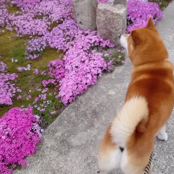 0d97f22c 4536 4baa 8ede 072321443d58 1649851100094