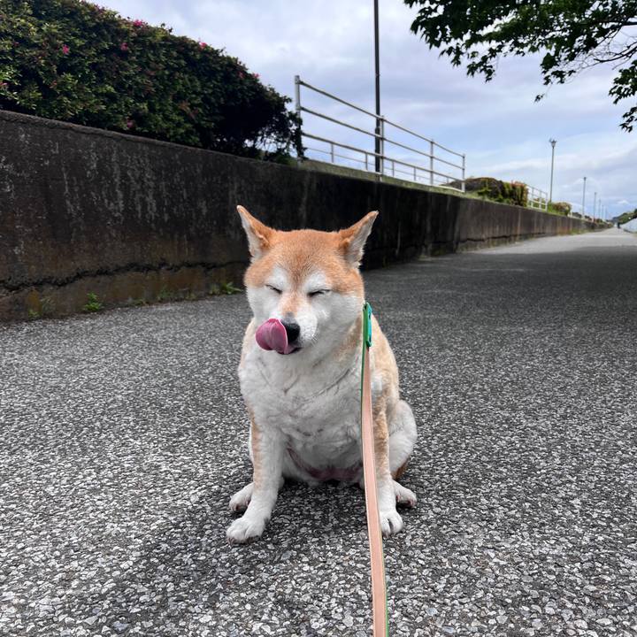 0d983b67 fb88 4bd8 9965 8cf196aabce5 1715475706478