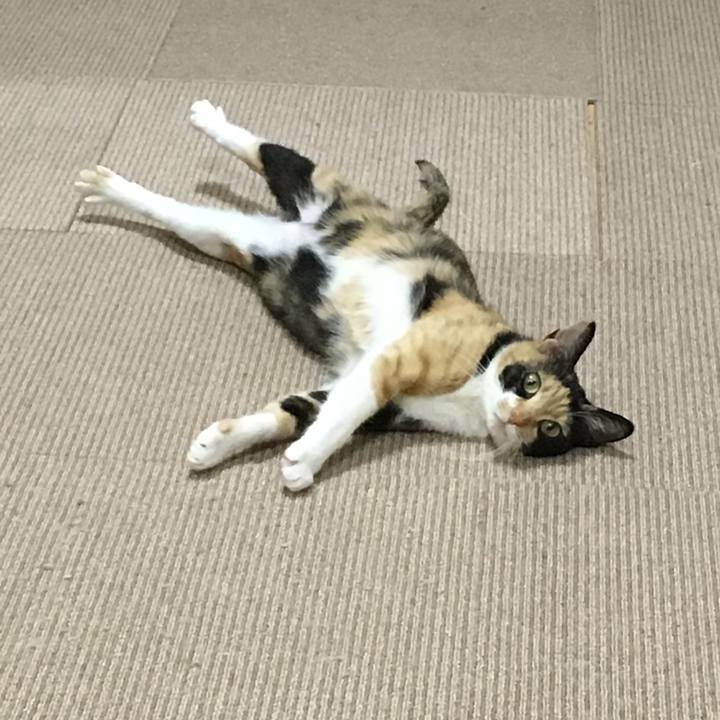 0d987e78 e7eb 438b bd66 9f8e340fd0b8 1517653678136