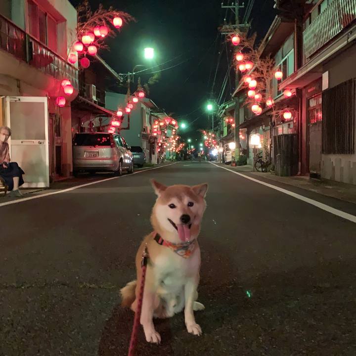 0d98d094 fad2 4b51 b01b 819561ed5d56 1626435498796