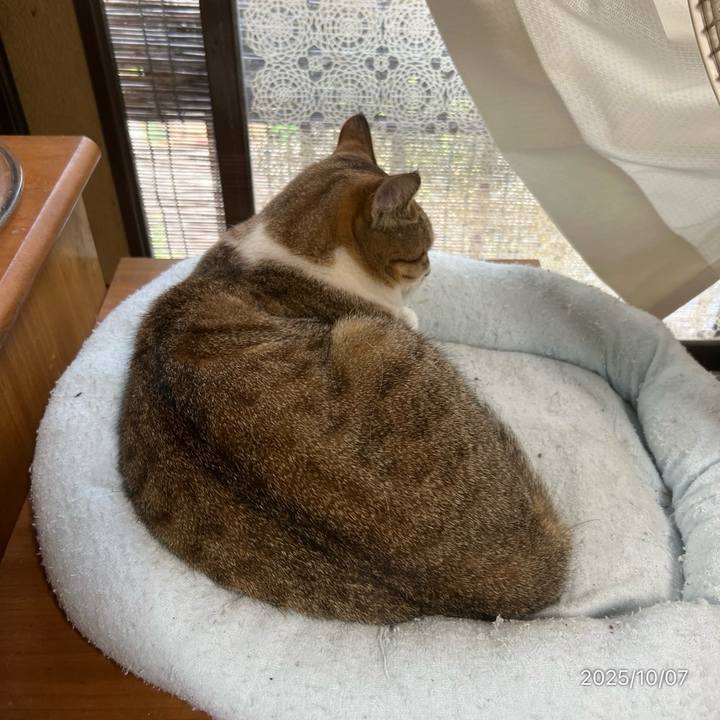 0d98da25 a67f 406b bb30 881387dab2fe 1759798954107