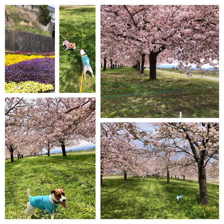 0d98de03 e932 48ba bea3 b24699cb487c 1556442491922