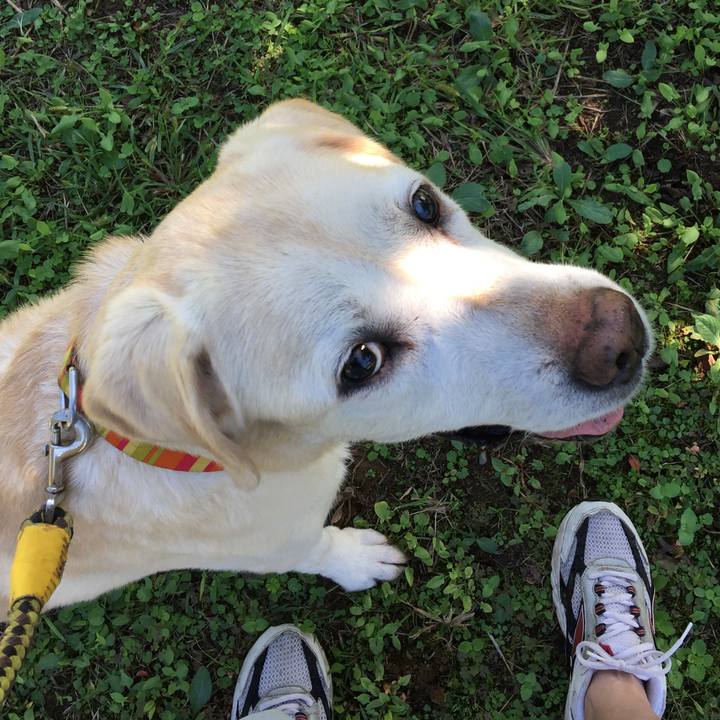 0d98e1a6 94bf 4368 8378 8f1e00c43452 1554461215377