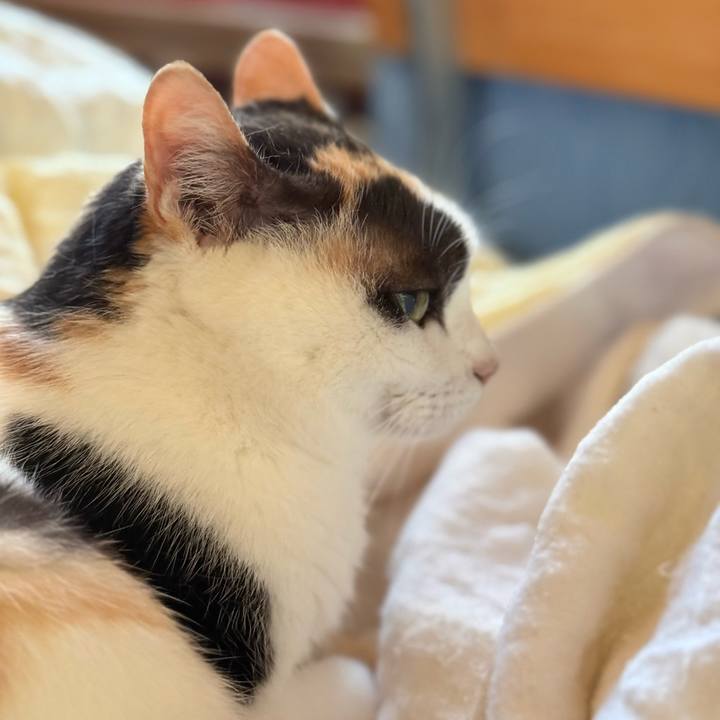 0d99092a 8573 47f8 84f2 f31825b39991 1757638572051