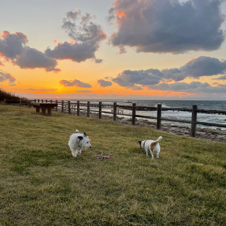 0d991ae3 c579 4e5a 829c 0ed7f6678ad6 1730276720321