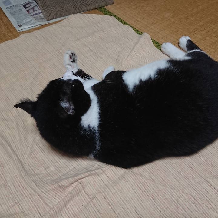 0d998526 8744 4116 b9e6 2f272cf70f86 1629086152268