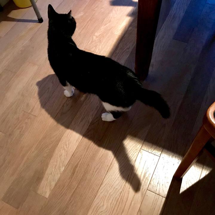 0d999872 97fa 46d1 aeb9 0d7d98343edc 1564998668302