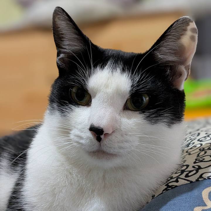 0d99a0e4 cbb4 42a1 9046 f39e6e08f9b5 1749656082410