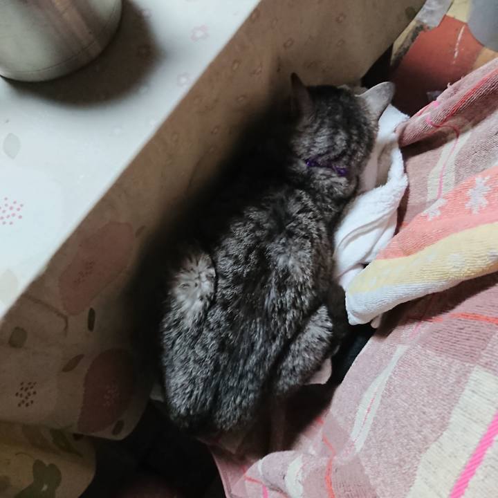 0d99b05b efbb 471b a77f 7ef2ed3ff622 1577909961030