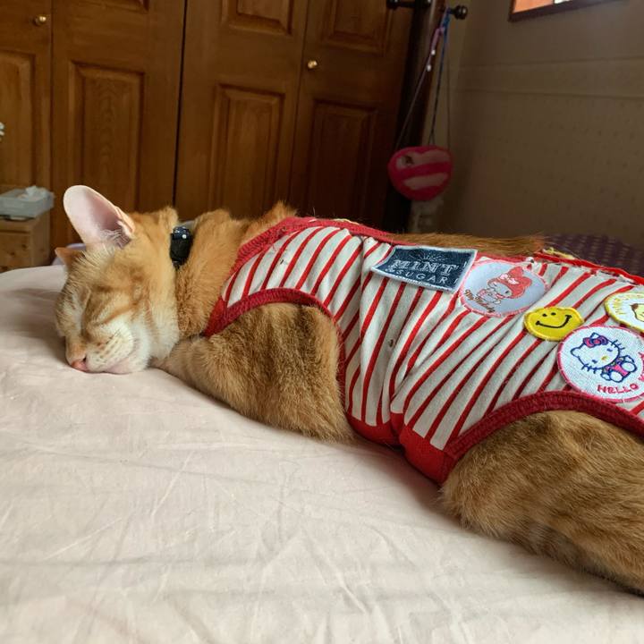 0d99b9a7 89de 4c2c a9c5 208cb7713ebf 1589707754275