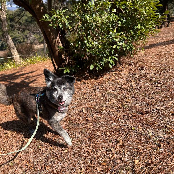 0d99d354 deb3 4eea a5c7 33008da36edc 1772444016151