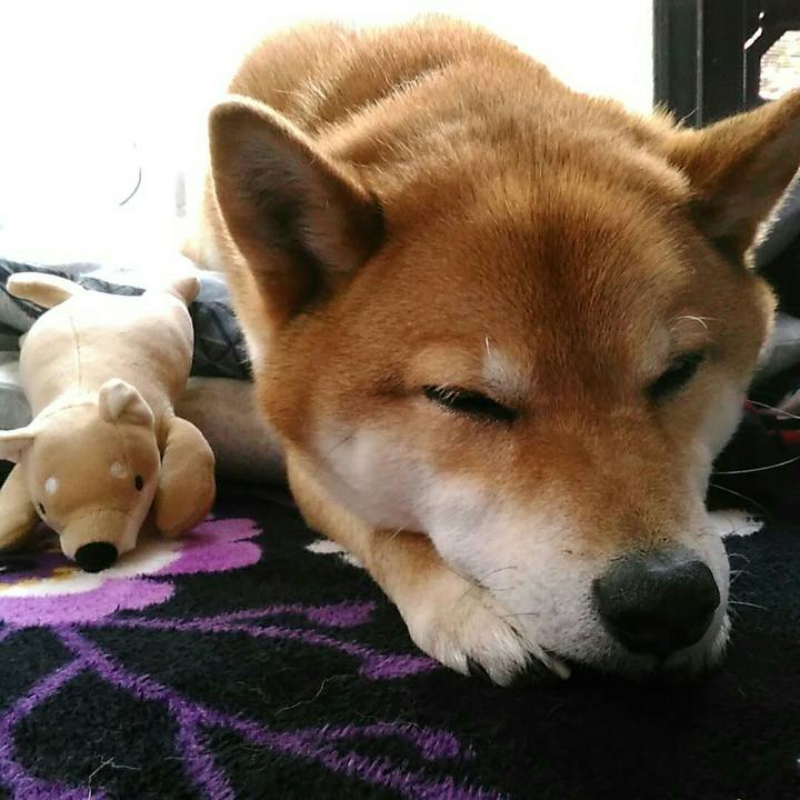 0d99e2de 0b0f 4328 814c 4a12a08e0649 1557378080344