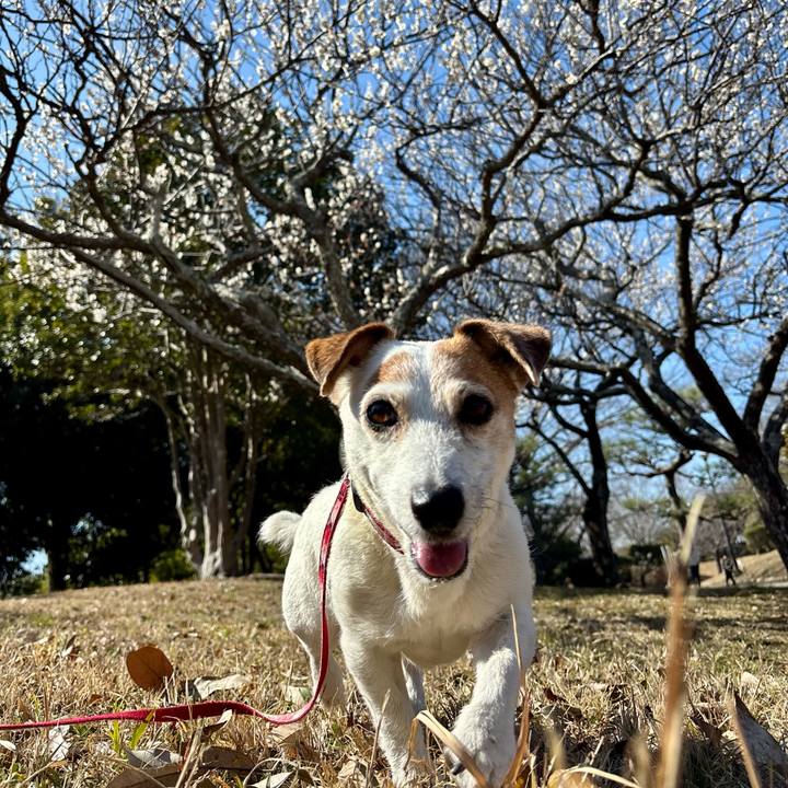 0d9a32c3 a54d 46a6 aaec 3fb621dbfd9c 1771844832751