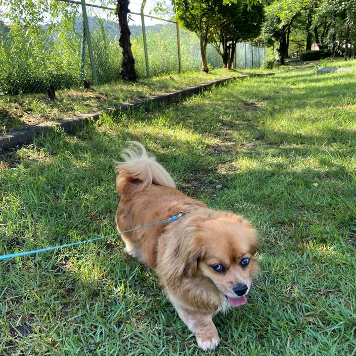 0d9a342c ab2c 4b05 a2fe 2b5236eaf912 1592615631175