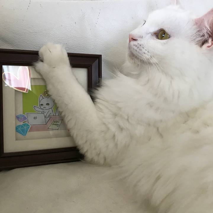 0d9aa6fa 006d 4f78 be02 2a584828230d 1535411425139