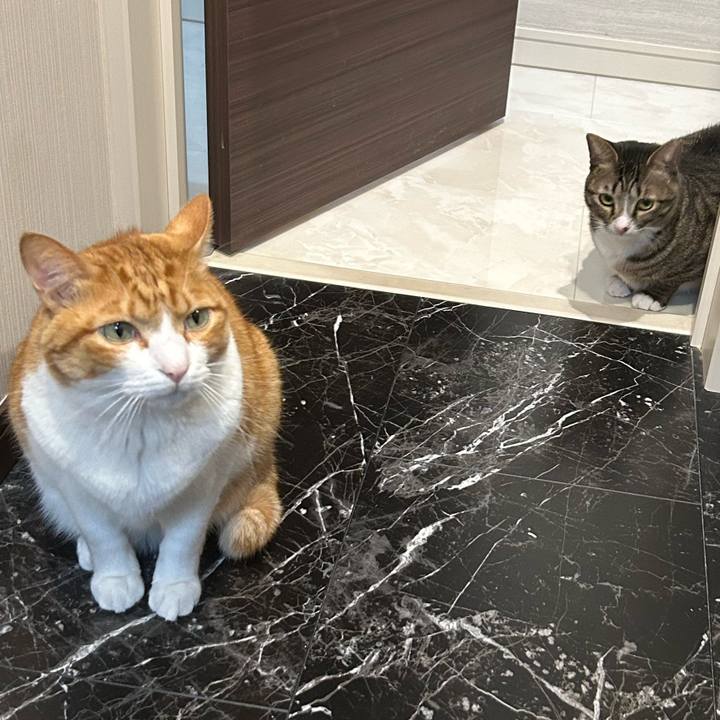 0d9aa8ef 0d7e 4408 9db4 37846afbad9c 1763795714925