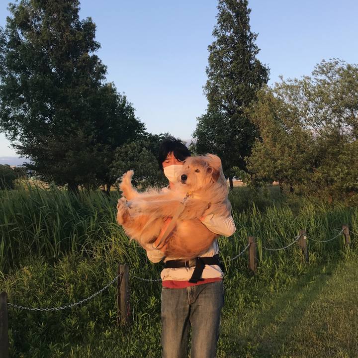 0d9ab701 21de 485d bb5d d02009f27e57 1590358014567